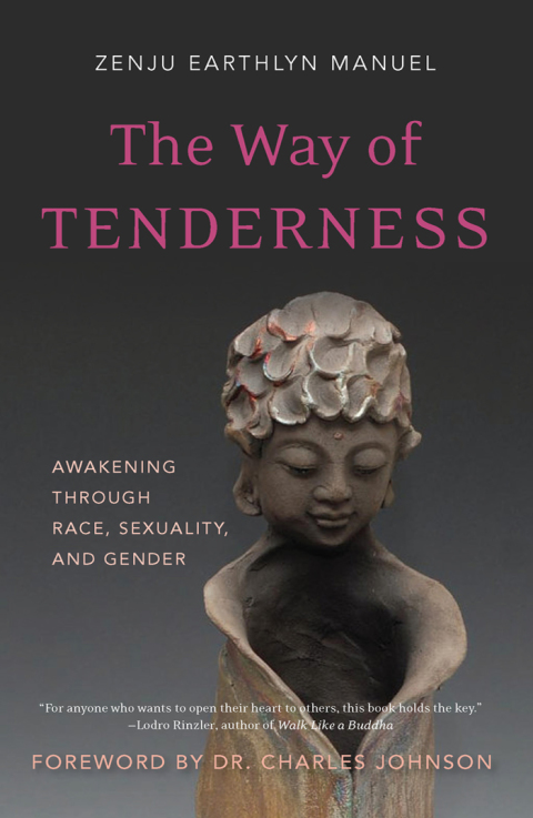 Cover image for book The Way of Tenderness