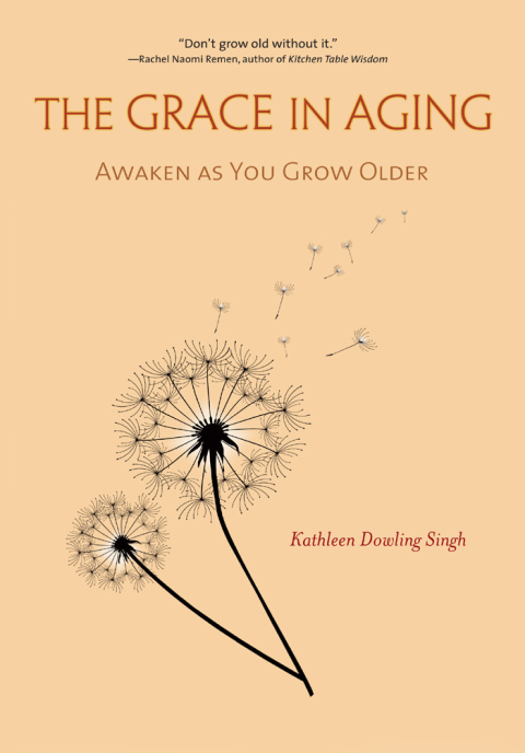 Cover image for book The Grace in Aging