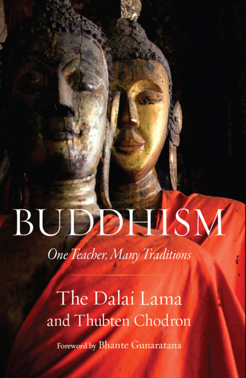 Cover image for book Buddhism