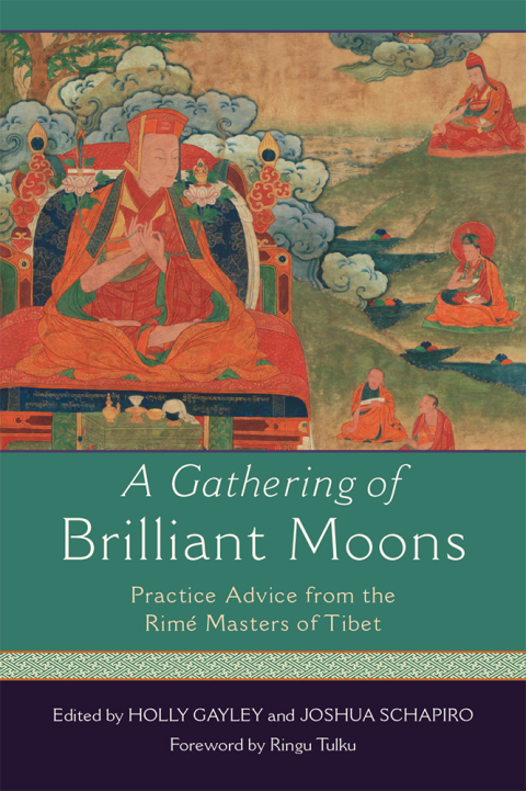 Cover image for book A Gathering of Brilliant Moons