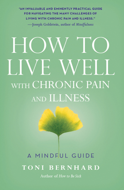 Cover image for book How to Live Well with Chronic Pain and Illness