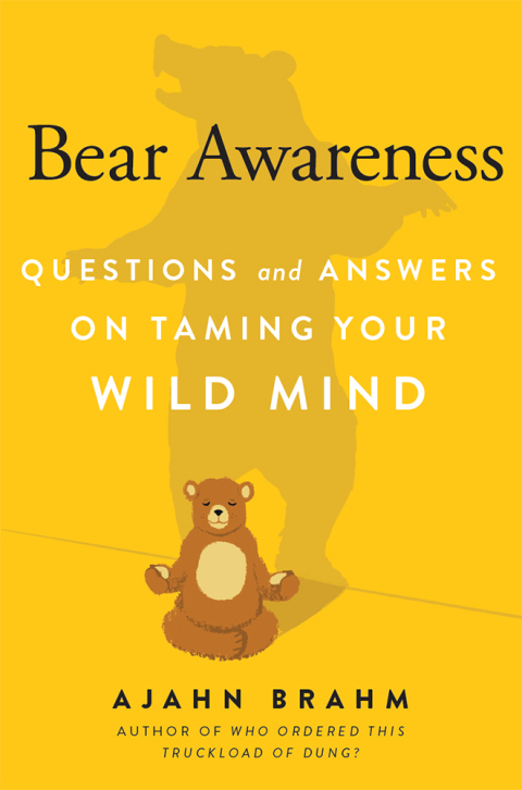 Cover image for book Bear Awareness