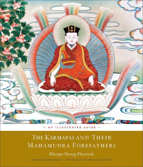 Cover image for book The Karmapas and Their Mahamudra Forefathers
