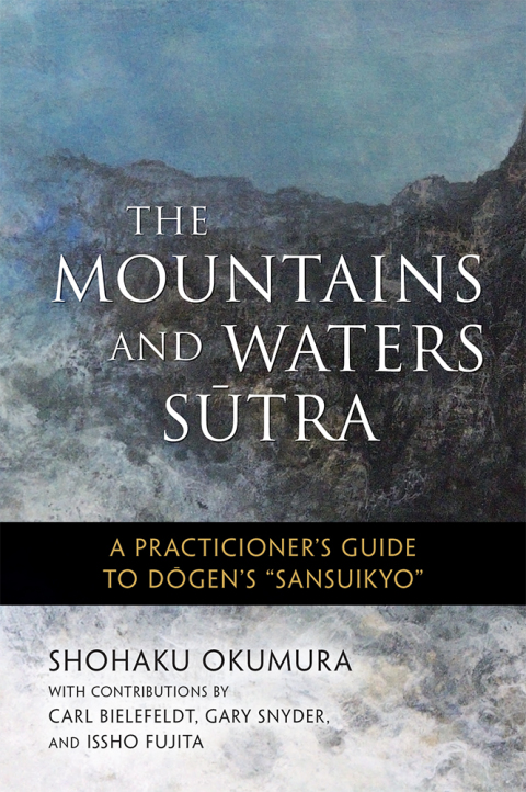 Cover image for book The Mountains and Waters Sutra