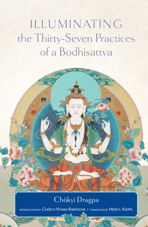 Cover image for book Illuminating the Thirty-Seven Practices of a Bodhisattva