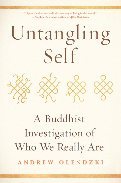 Cover image for book Untangling Self