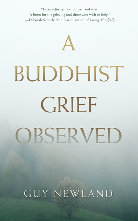 Cover image for book A Buddhist Grief Observed