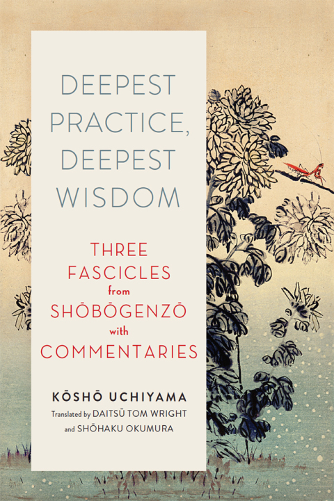 Cover image for book Deepest Practice, Deepest Wisdom