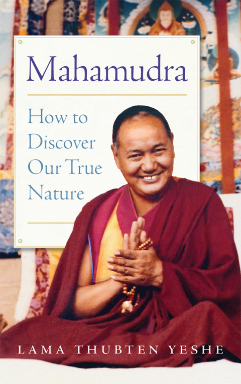Cover image for book Mahamudra
