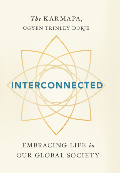 Cover image for book Interconnected