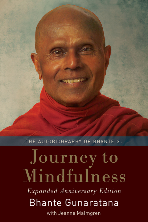 Cover image for book Journey to Mindfulness