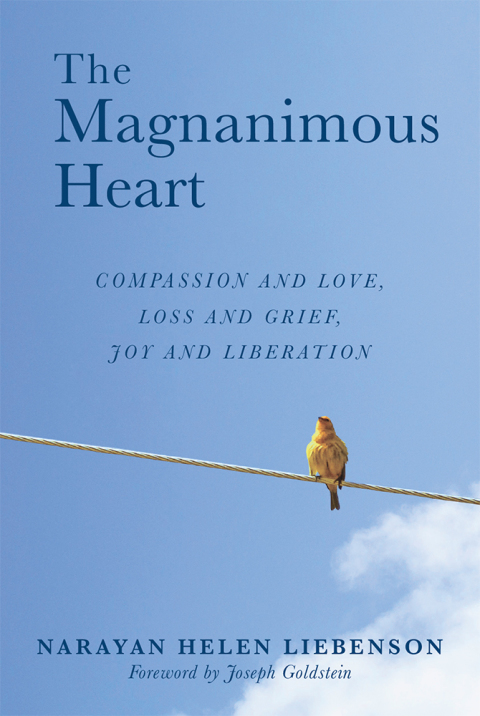 Cover image for book The Magnanimous Heart