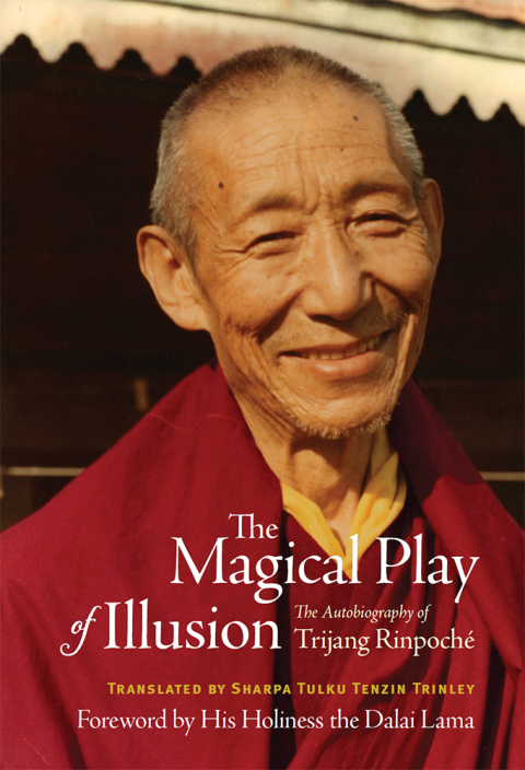 Cover image for book The Magical Play of Illusion