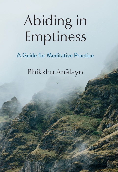Cover image for book Abiding in Emptiness