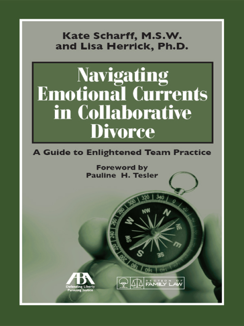 Cover image for book Navigating Emotional Currents in Collaborative Divorce