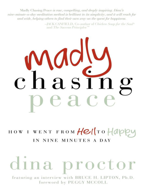 Cover image for book Madly Chasing Peace
