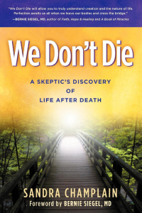 Cover image: We Don't Die 9781614483823