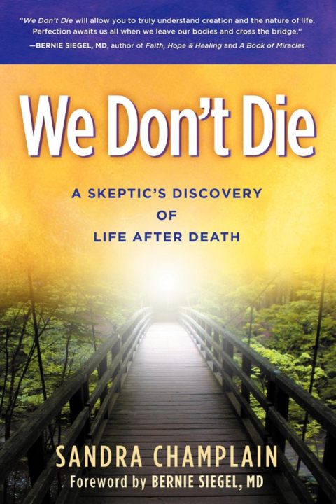 Cover image for book We Don't Die