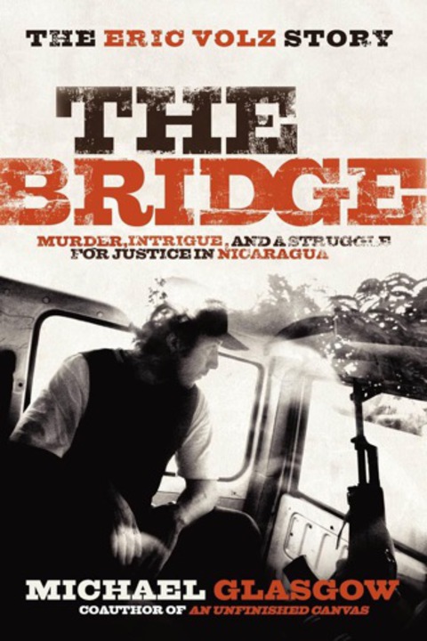 Cover image for book The Bridge