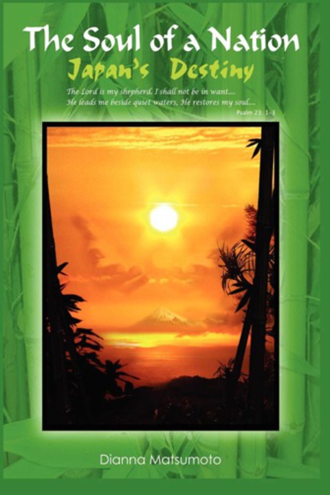 Cover image for book The Soul of a Nation