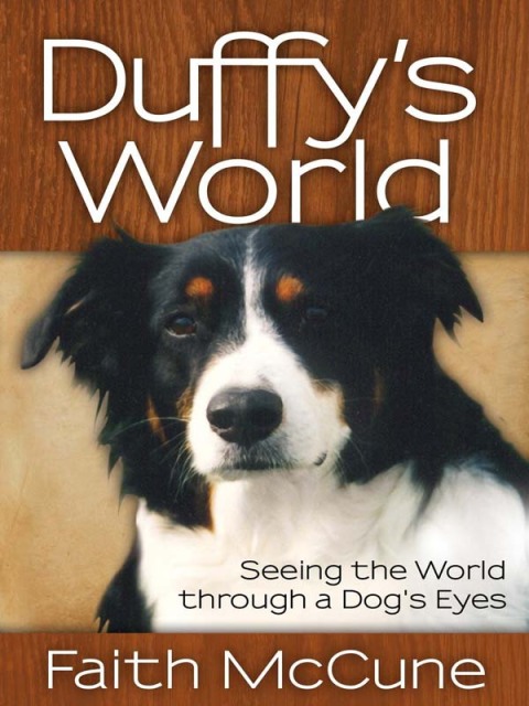 Cover image for book Duffy's World