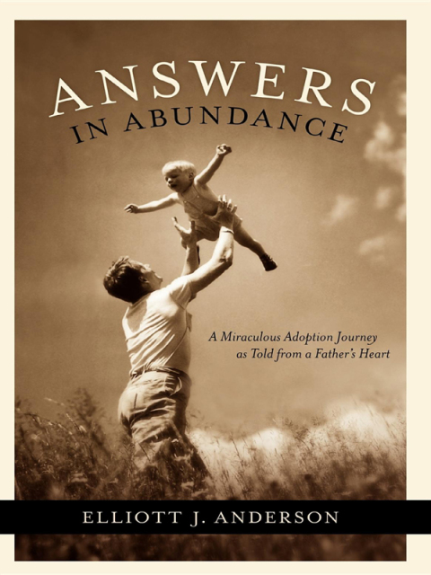 Cover image for book Answers in Abundance