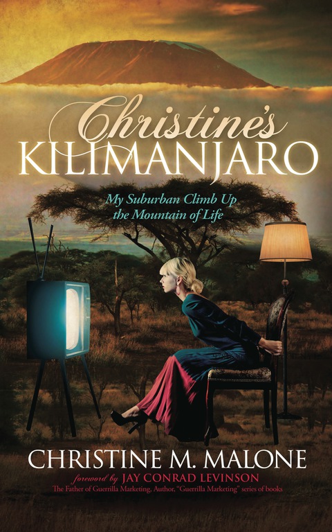 Cover image for book Christine's Kilimanjaro