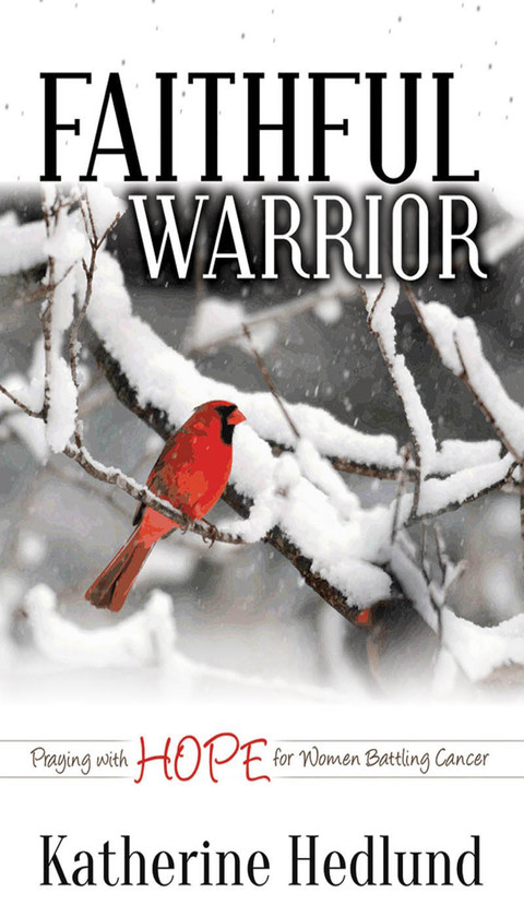 Cover image for book Faithful Warrior