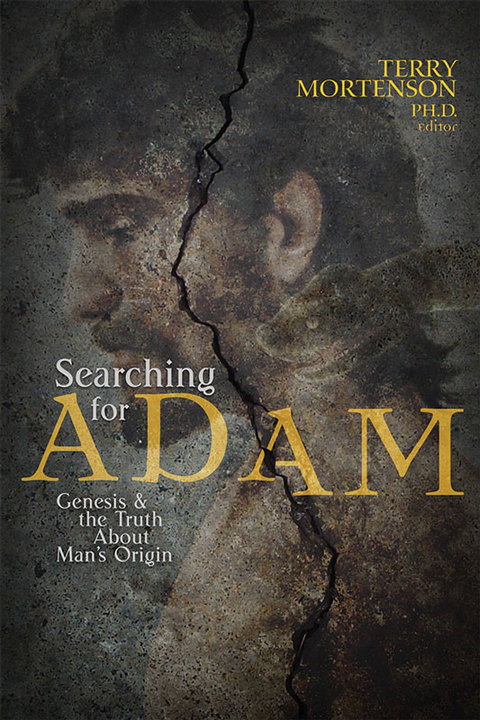 Cover image for book Searching for Adam