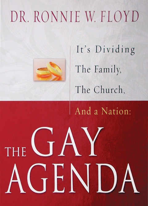 Cover image for book The Gay Agenda: It's Dividing The Family, The Church, And a Nation
