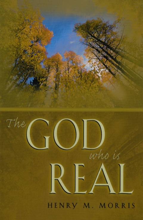 Cover image for book God Who is Real
