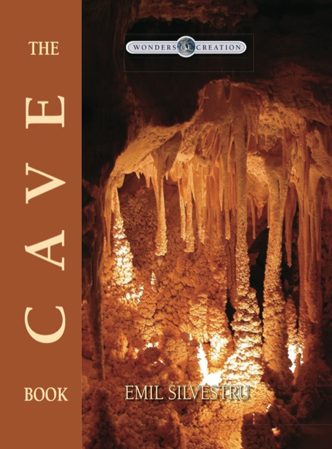 Cover image for book The Cave Book