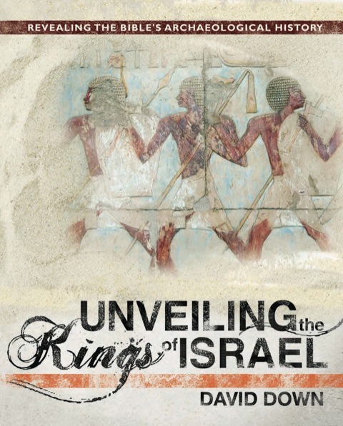 Cover image for book Unveiling the Kings of Israel
