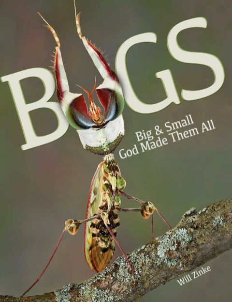 Cover image for book Bugs