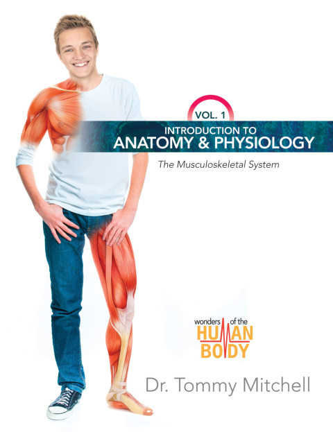 Cover image for book Introduction to Anatomy & Physiology: The Musculoskeletal System Vol 1