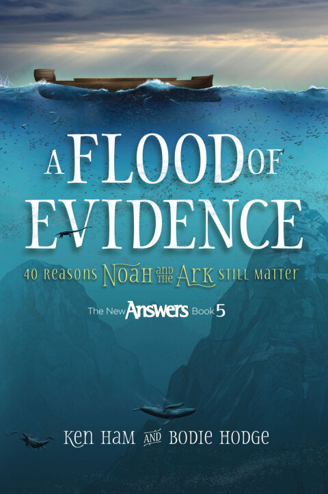 Cover image for book Flood of Evidence, A