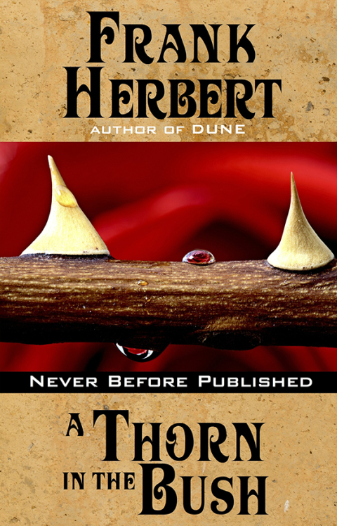 Cover image for book A Thorn in the Bush