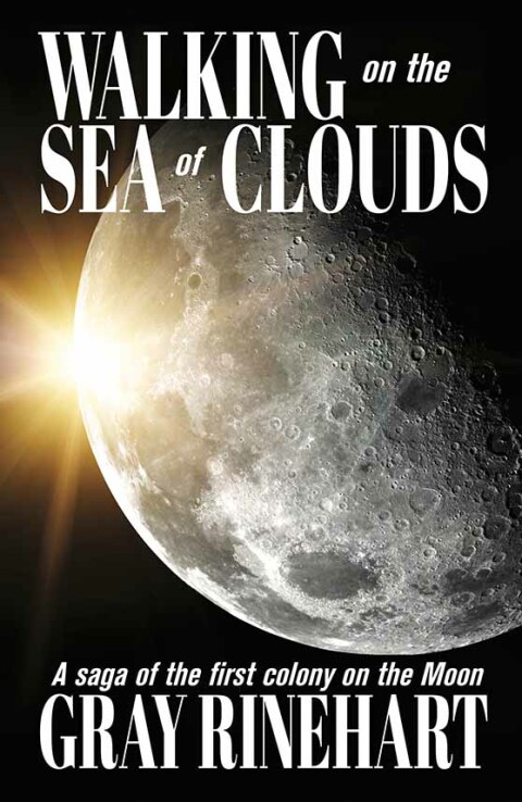 Cover image for book Walking on the Sea of Clouds