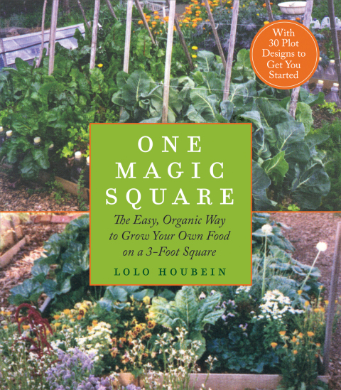 Cover image for book One Magic Square