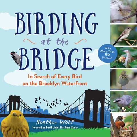 Cover image for book Birding at the Bridge