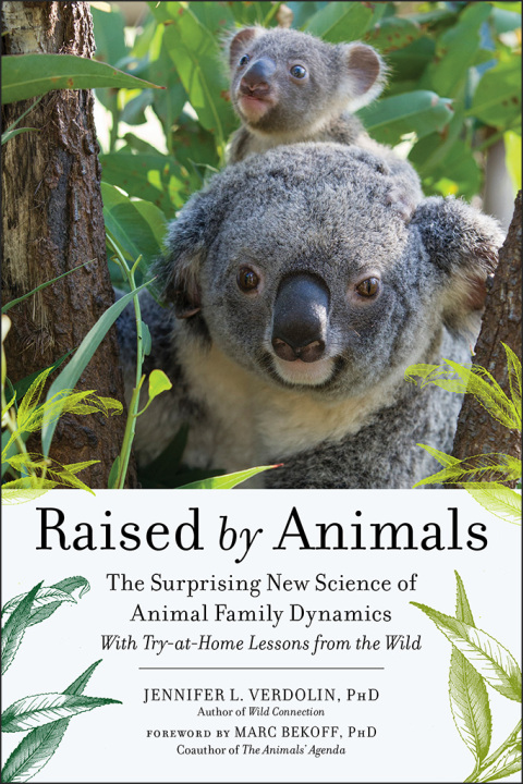 Cover image for book Raised by Animals