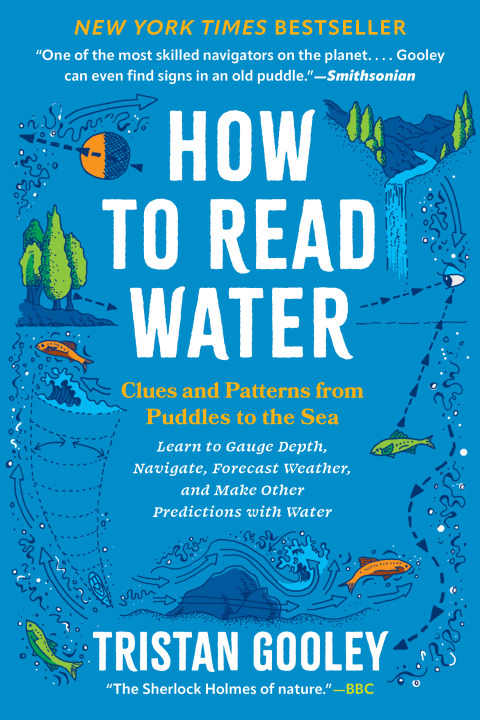 Cover image for book How to Read Water