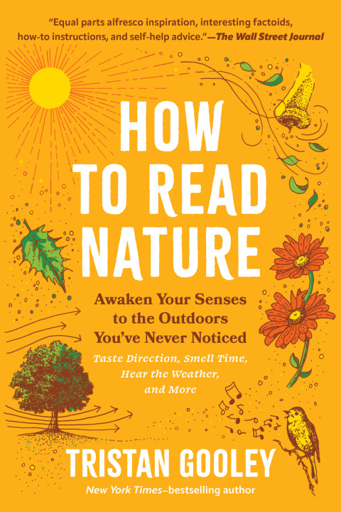 Cover image for book How to Read Nature