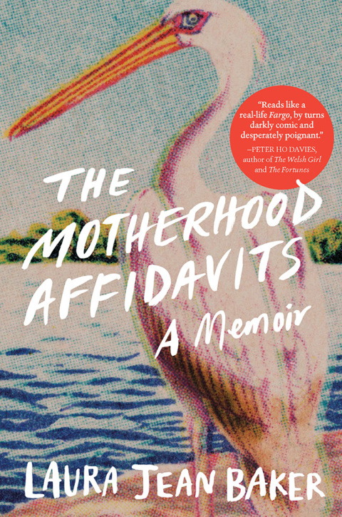 Cover image for book The Motherhood Affidavits