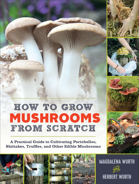 Cover image for book How to Grow Mushrooms from Scratch