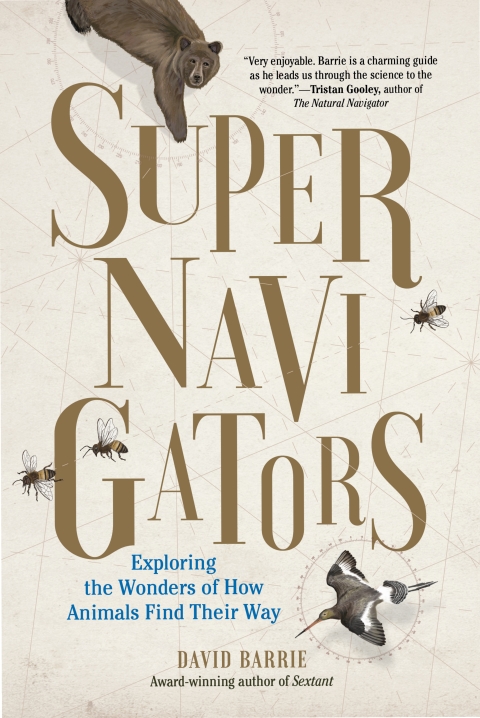 Cover image for book Supernavigators