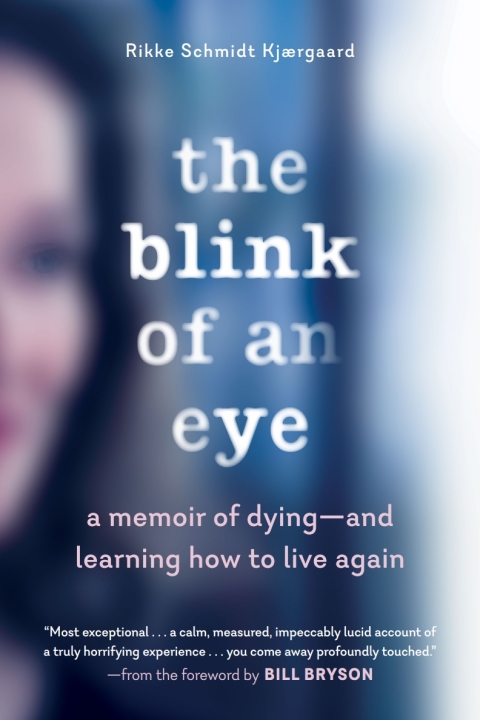 Cover image for book The Blink of an Eye