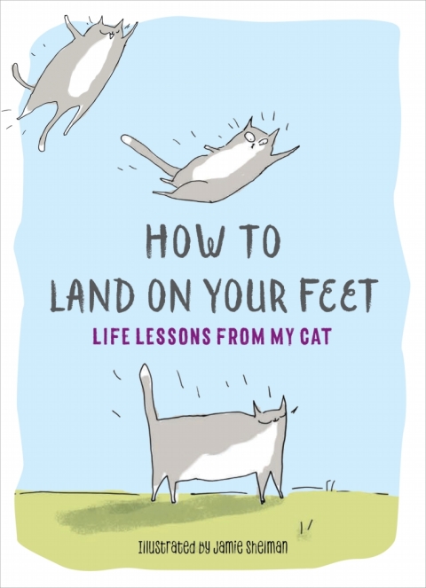 Cover image for book How to Land on Your Feet