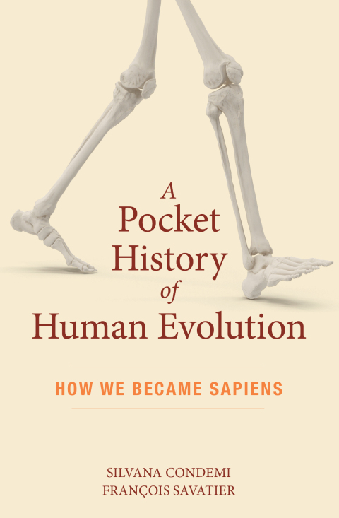Cover image for book A Pocket History of Human Evolution