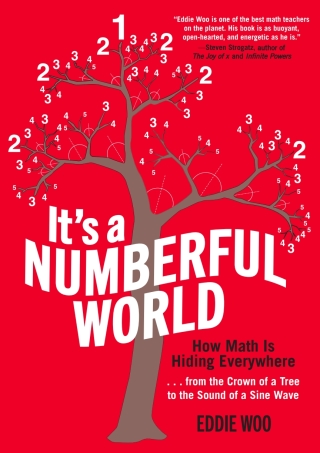 It's a Numberful World